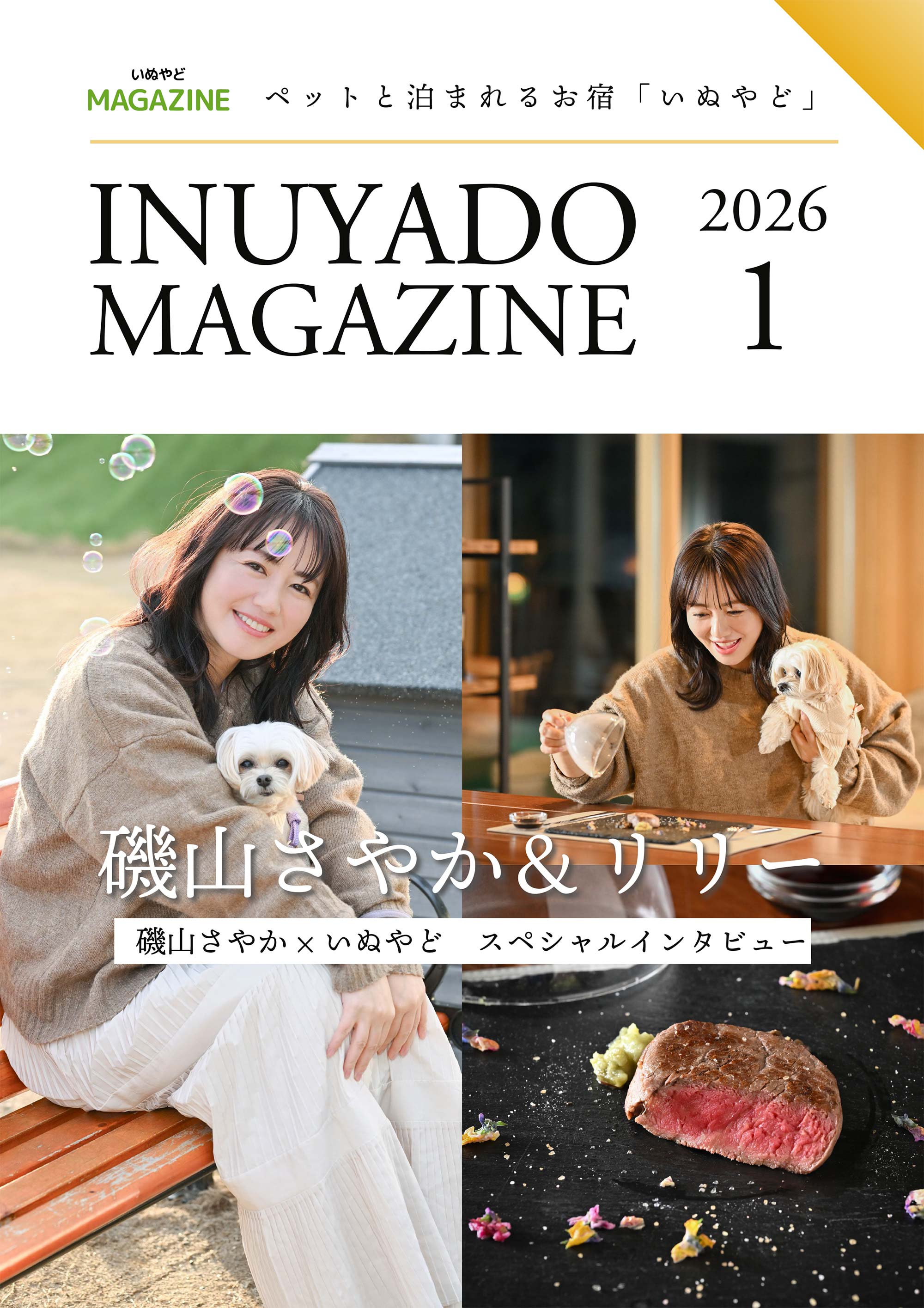 いぬやどマガジン