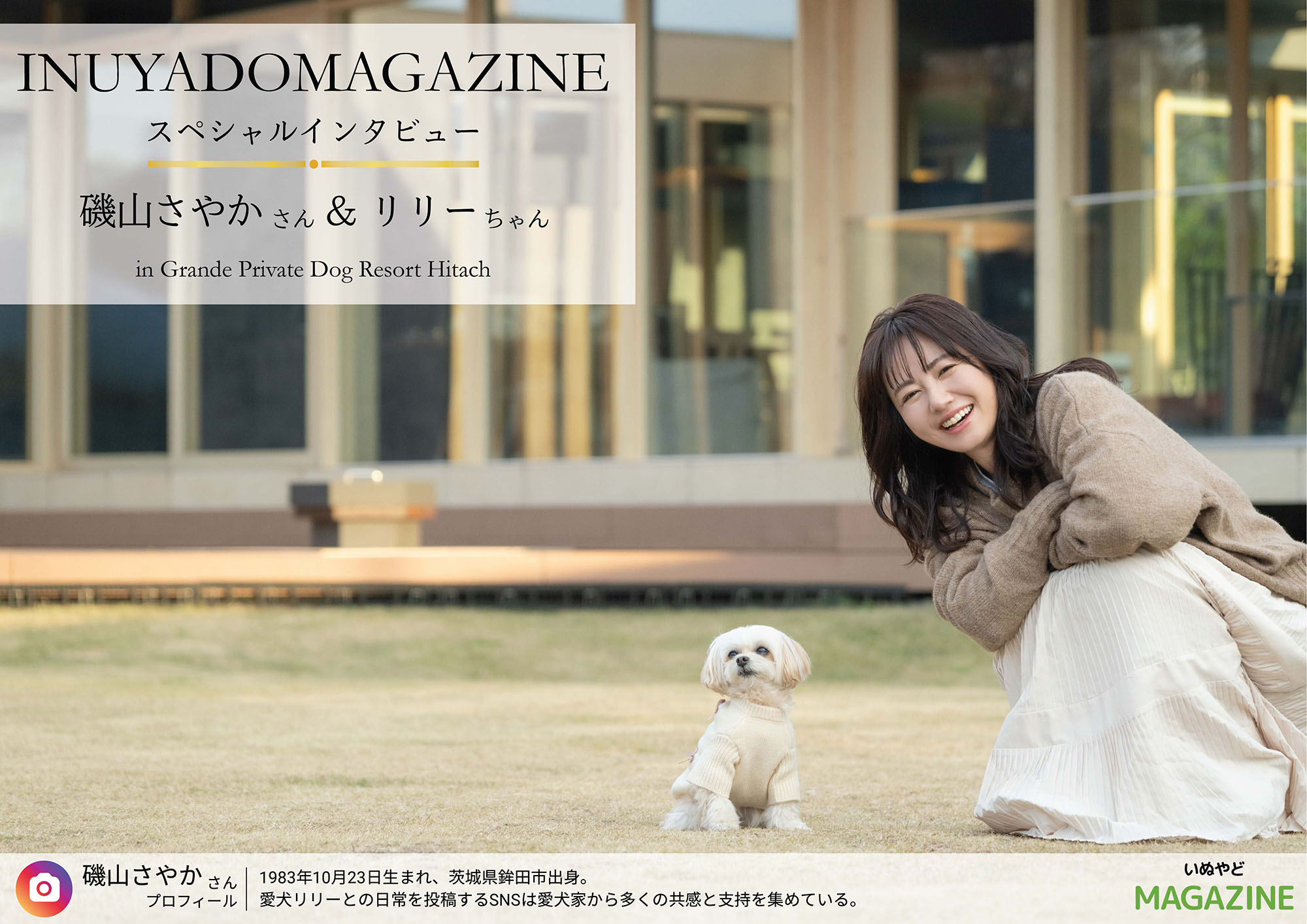 いぬやどマガジン