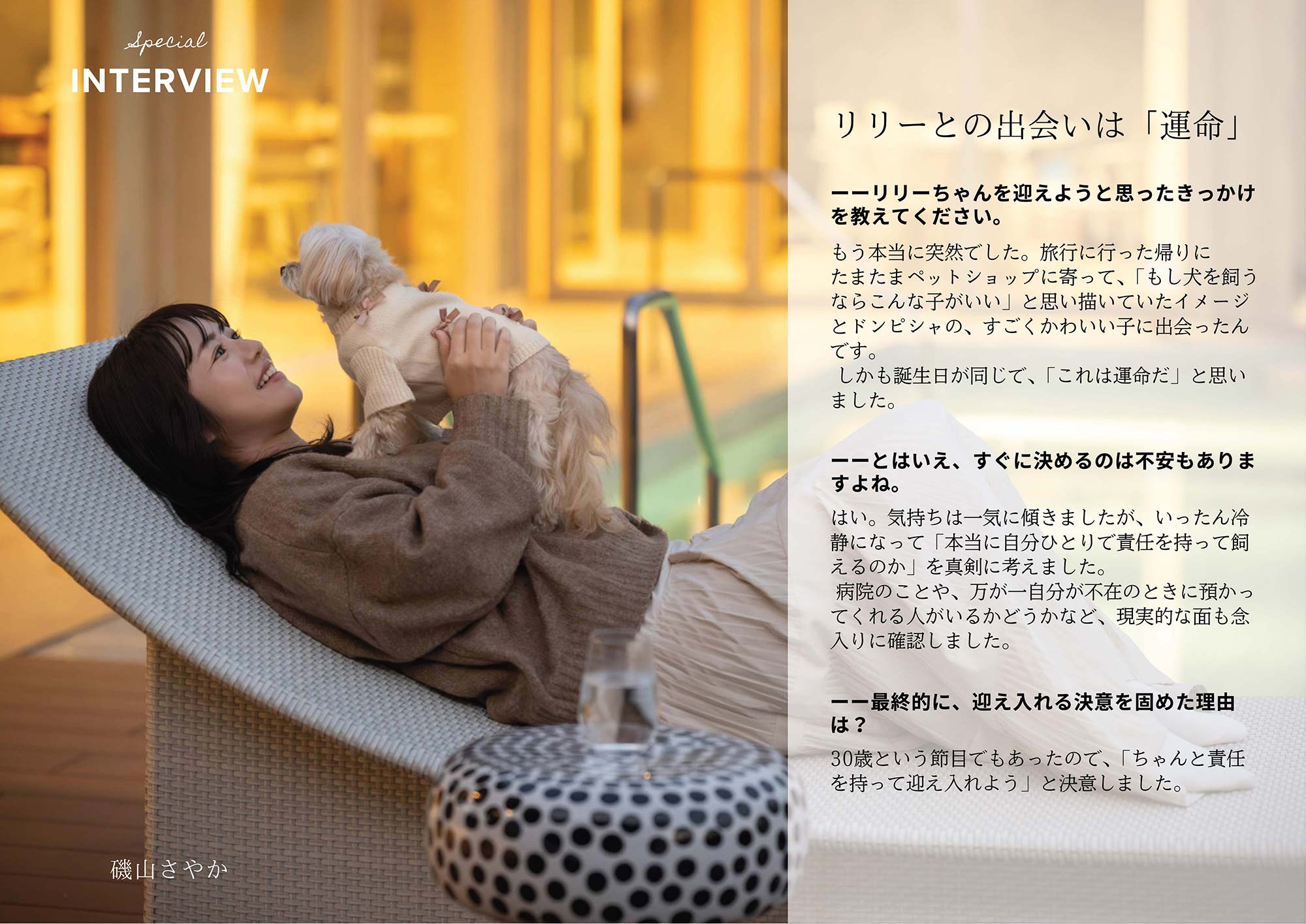 いぬやどマガジン