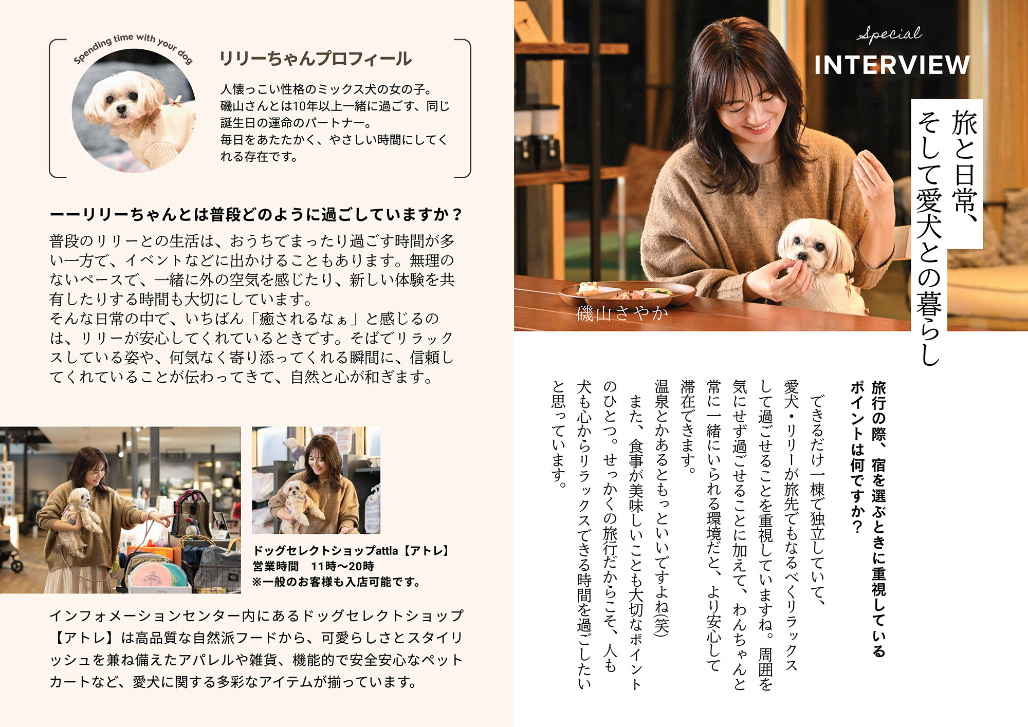 いぬやどマガジン