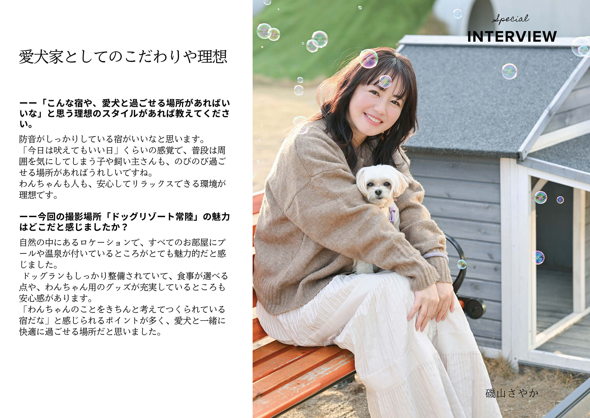 いぬやどマガジン