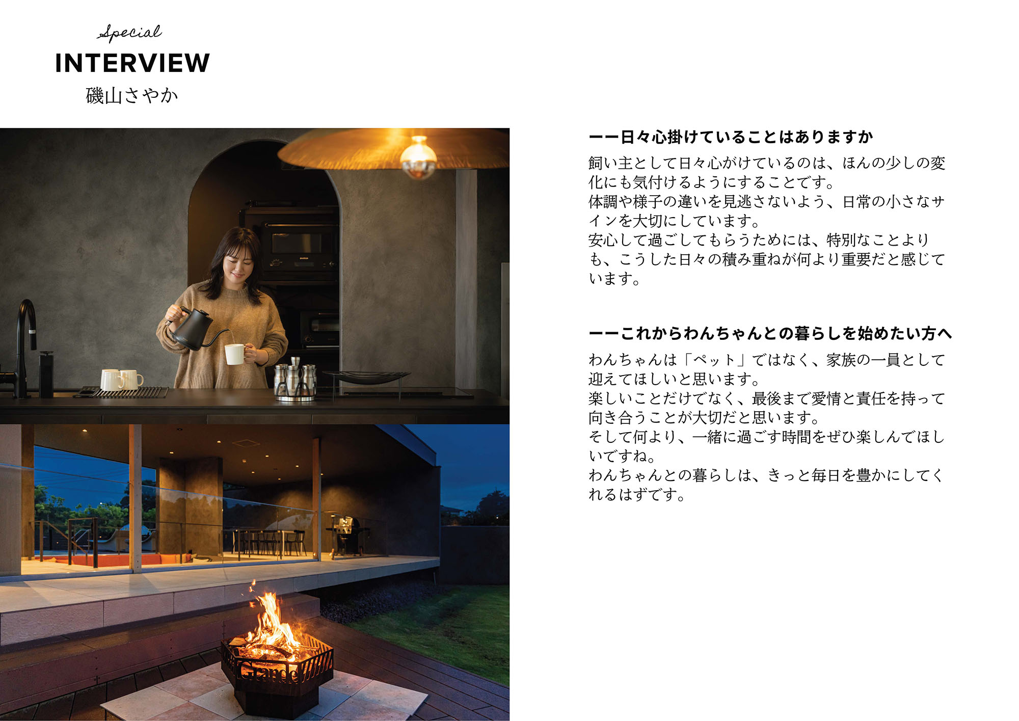 いぬやどマガジン