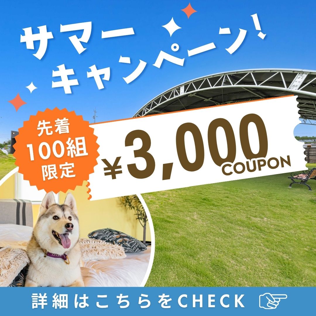 3,000円OFFクーポン