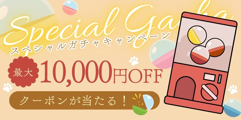 スペシャルガチャキャンペーン