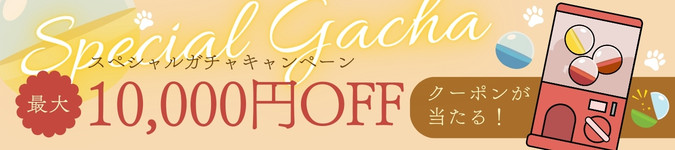 スペシャルガチャキャンペーン